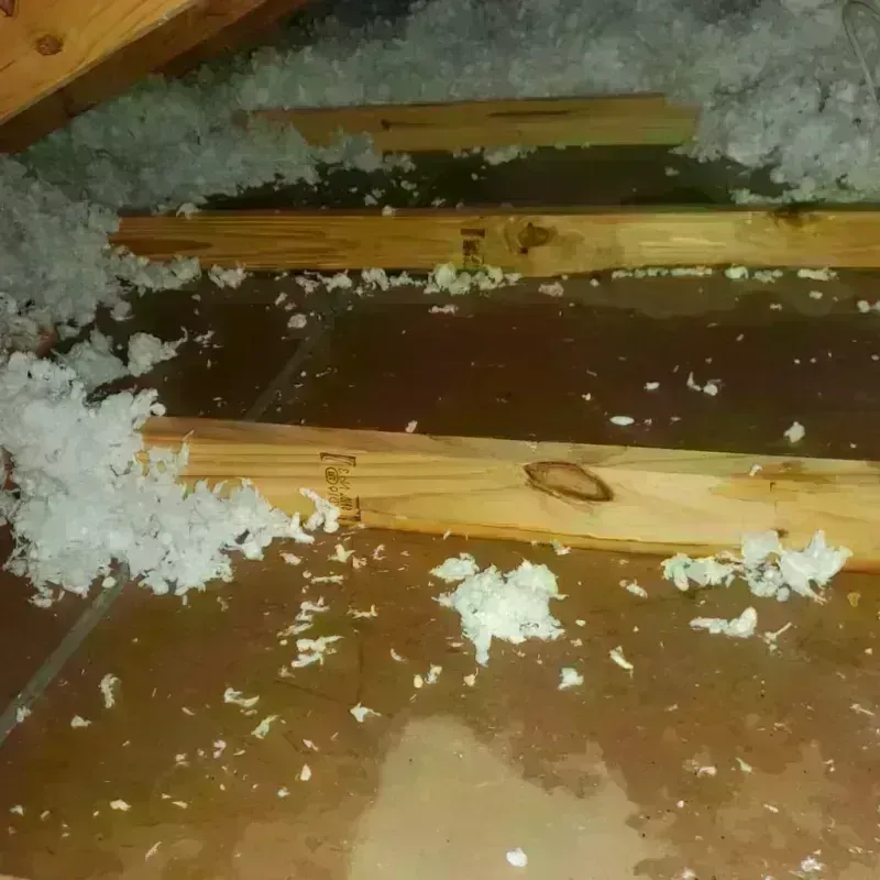 Attic Water Damage in Arkoma, OK