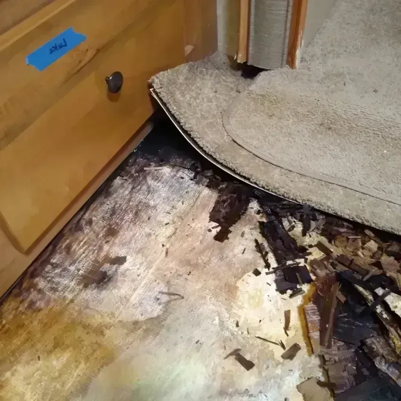 Best Wood Floor Water Damage Service in Arkoma, OK